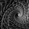 A mesmerizing black and white abstract spiral pattern creating a sense of depth and motion.